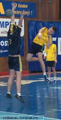 Mesaje - MACO AI AJUNS VEDETA - Mesaje
